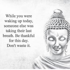 Meet your Posher, Richard